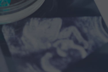 Medicina Fetal | Dra. Tânia Schupp
